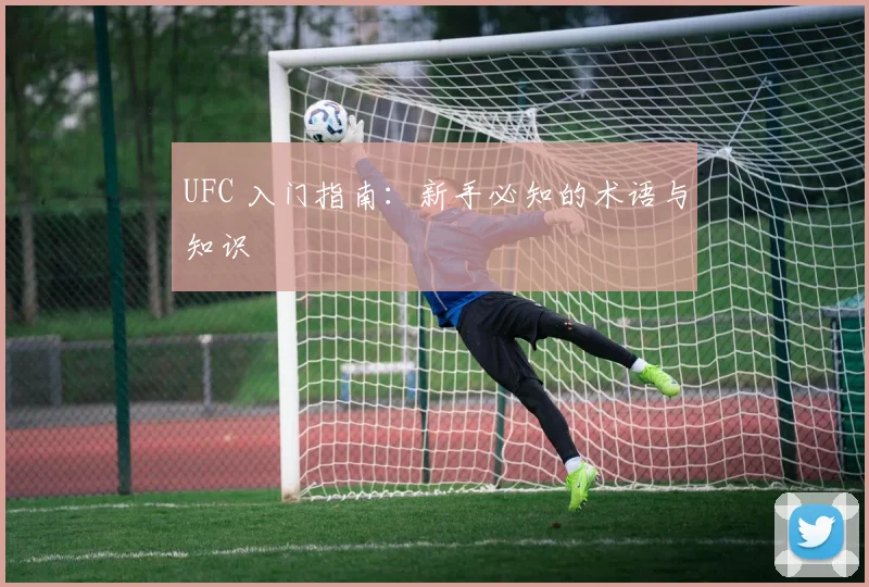 UFC 入门指南:新手必知的术语与知识