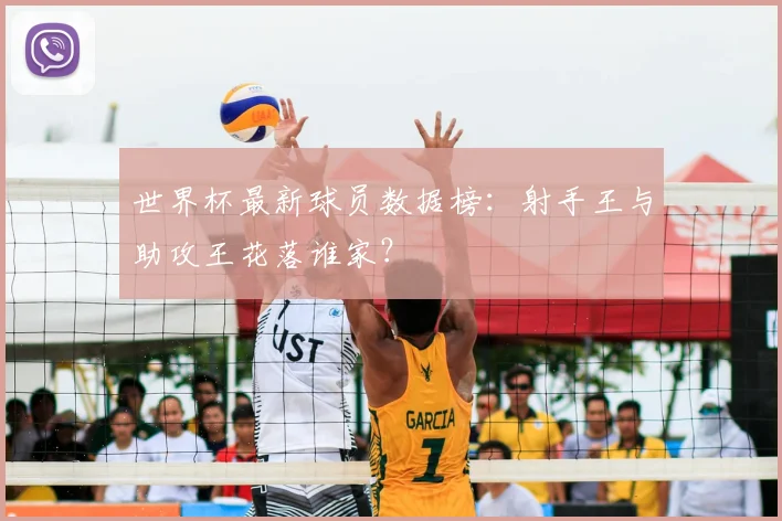 世界杯最新球员数据榜：射手王与助攻王花落谁家？